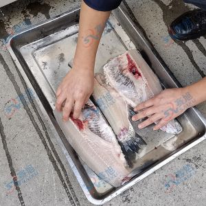 全自動切魚片，去魚骨機(jī)