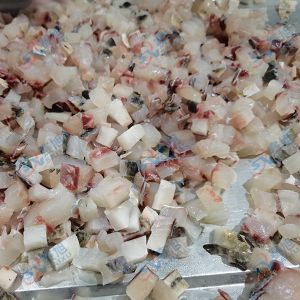 全自動切丁機(jī) “切丁機(jī)切10mm草魚丁 ”效果反饋！