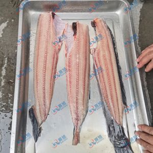 現(xiàn)場試機(jī)鯰魚，三枚開片去魚骨機(jī)
