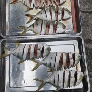 ABCH-003金鯧魚(yú)拉花機(jī)現(xiàn)場(chǎng)試機(jī)，效果不錯(cuò)